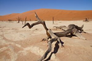 namibia, africa, namib desert