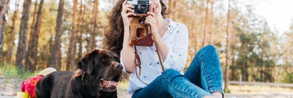 photographie animal de compagnie