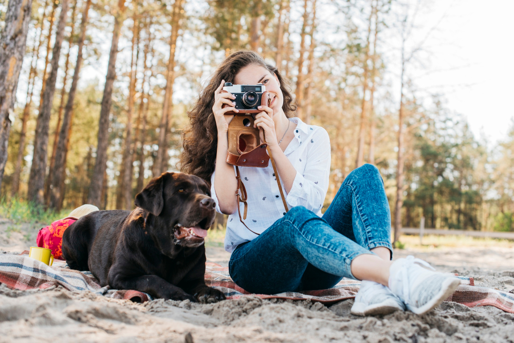 photographie animal de compagnie